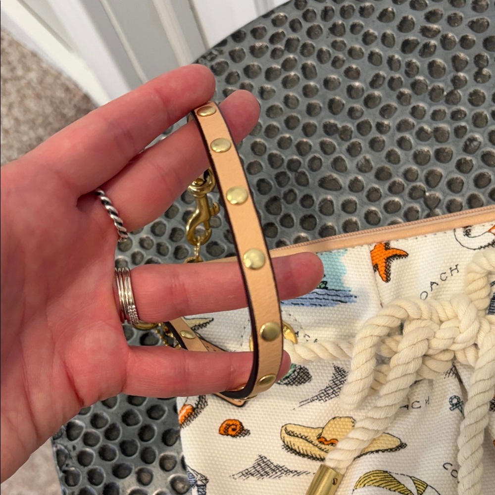 Coach Limited Edition 2010 Pierre Le Tan Large Beach Wristlet - Picture 4 of 9